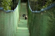 Buena Vista Lodge & Adventure Гуанакасте Экстерьер фото