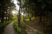 Buena Vista Lodge & Adventure Гуанакасте Экстерьер фото